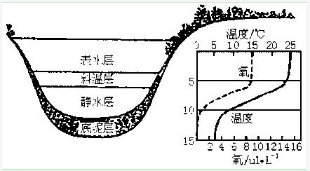 圖片3.png