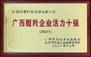 2021年廣西瞪羚企業(yè)活力10強(qiáng)